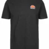Ellesse CANALETTO - T-shirt Imprimé - Dark Grey Marl