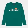 Ellesse MERNETO - T-shirt à Manches Longues - Green
