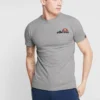 Ellesse VOODOO - T-shirt Imprimé - Grey Marl