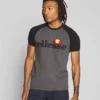 Ellesse PIAVE - T-shirt Imprimé - Dark Grey Marl
