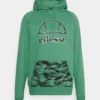 Ellesse LACRIMA HOODY - Sweat à Capuche - Green