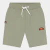 Ellesse TOYLE - Short - Green