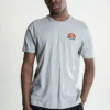 Ellesse CANALETTO - T-shirt Imprimé - Athletic Grey Marl