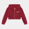 Ellesse HAYLEE HOODY - Sweat à Capuche Zippé - Burgundy